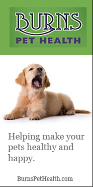 Burns Pet Health