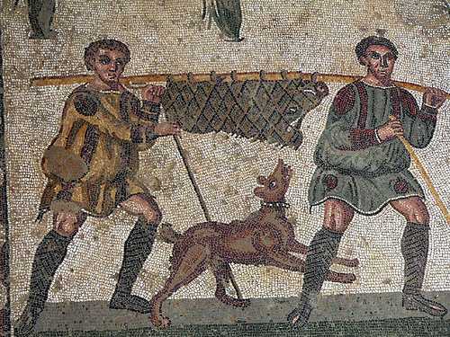 Ancient dogs