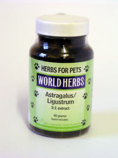 Dog & Cat Immune System Support