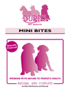 Burns Holistic Mini Bites 4.4lb Bag
