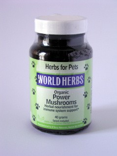 Power Mushrooms 50 gr bottle
