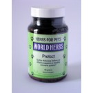 Protect : Immune system support for dogs and cats