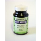 Water Flow for dogs and Cats